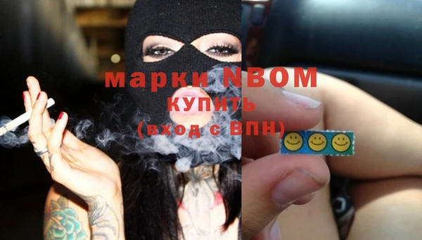 индика Абаза