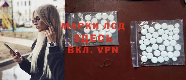 индика Абаза