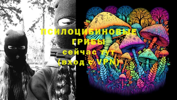индика Абаза