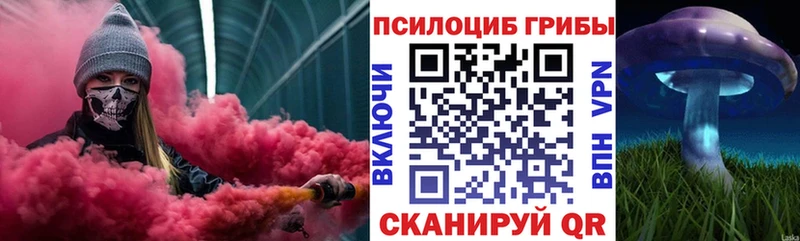 Галлюциногенные грибы мицелий  ссылка на мегу вход  Кумертау  закладка 